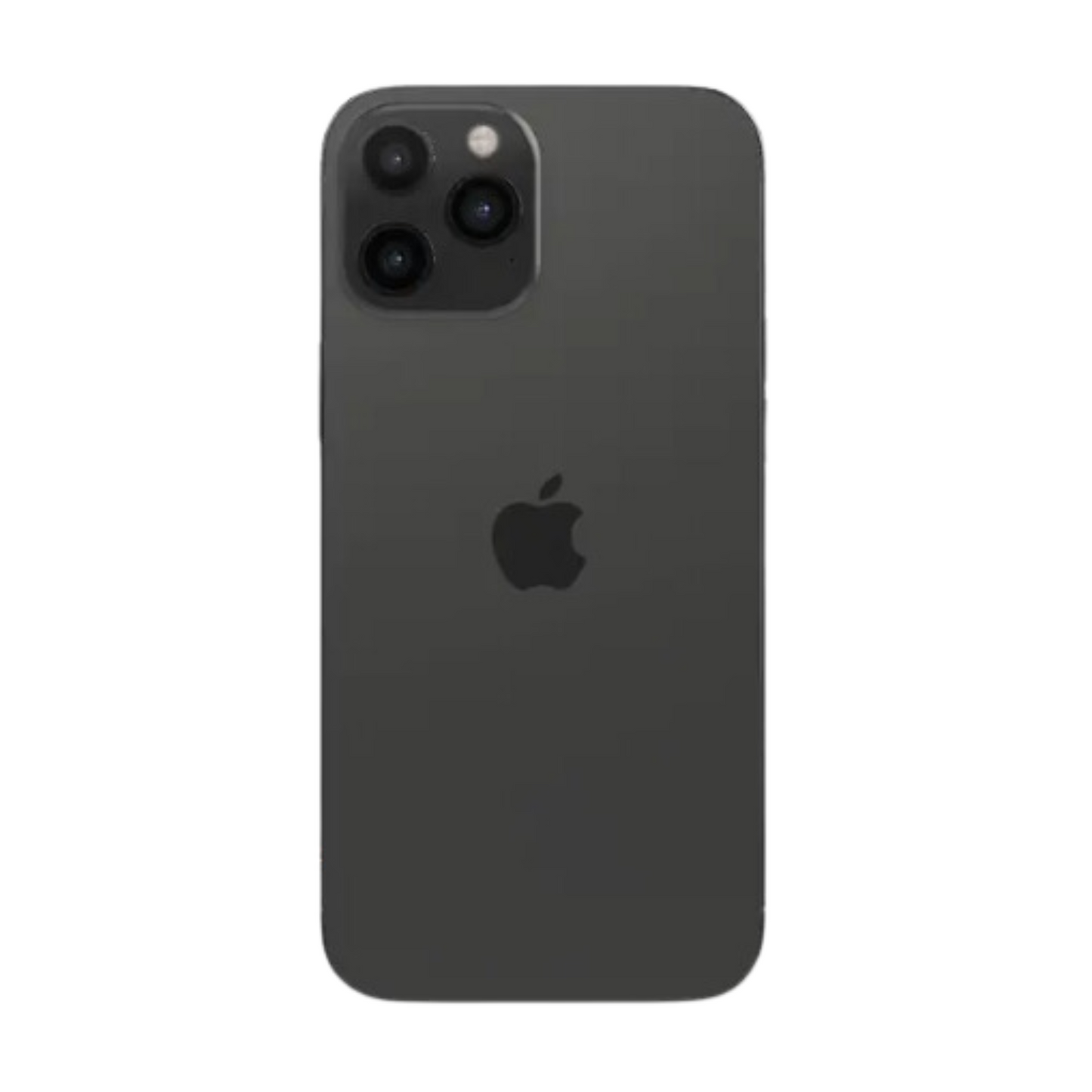 iPhone 12 Pro Max Services