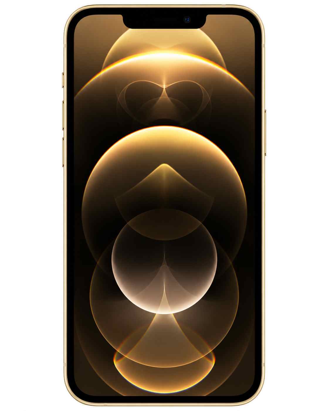 iPhone 12 Pro Max Screen Replacement